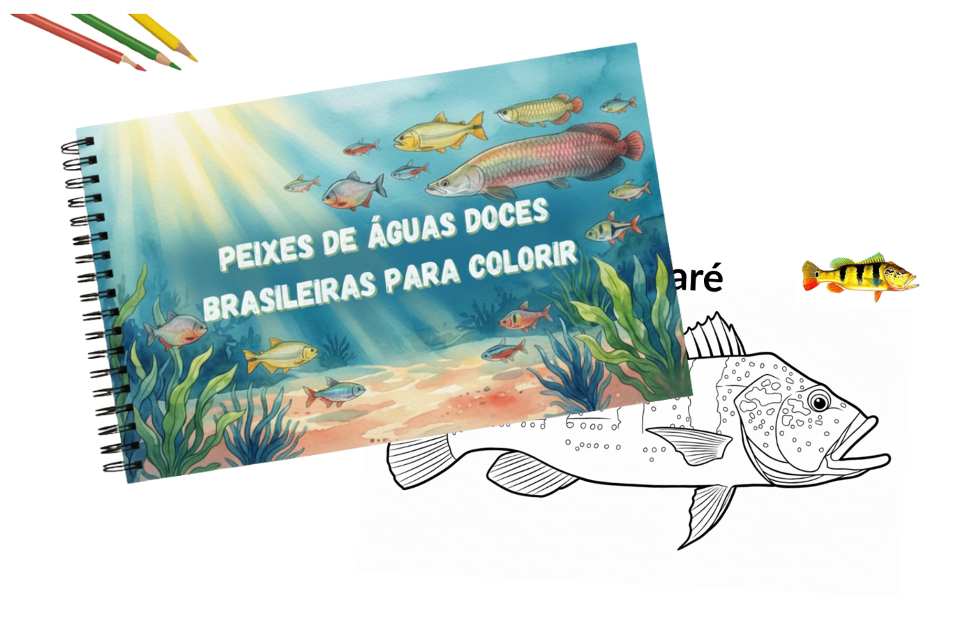 E-book 30 Peixes Brasileiros para Colorir